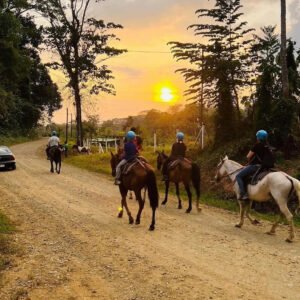 Horseback Riding Tour – Brisas del Nara