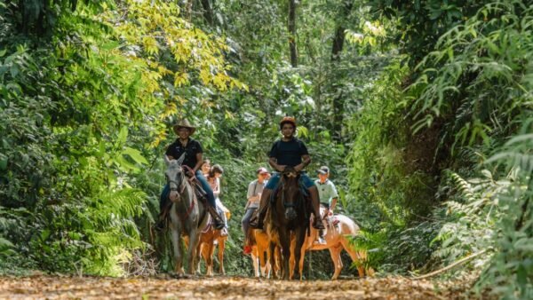 Horseback Riding Tour – Brisas del Nara - Image 6