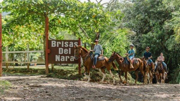 Horseback Riding Tour – Brisas del Nara - Image 2