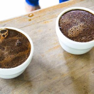 Coffee Tour (Esquipulas)