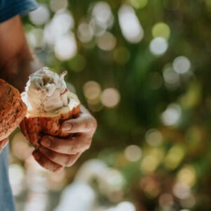 Spice Tour – Villa Vanilla