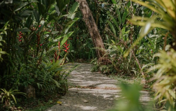 Spice Tour – Villa Vanilla - Image 5
