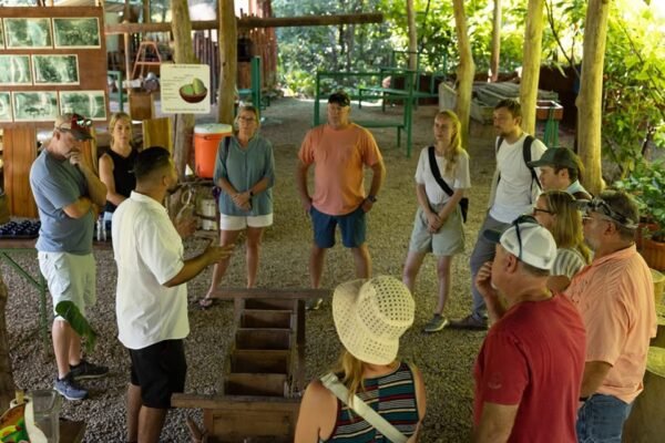Chocolate, Coffee & Sugarcane Tour - Image 4