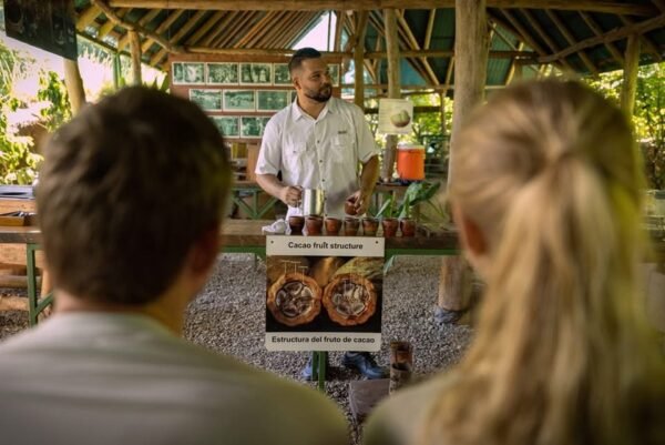 Chocolate, Coffee & Sugarcane Tour - Image 6