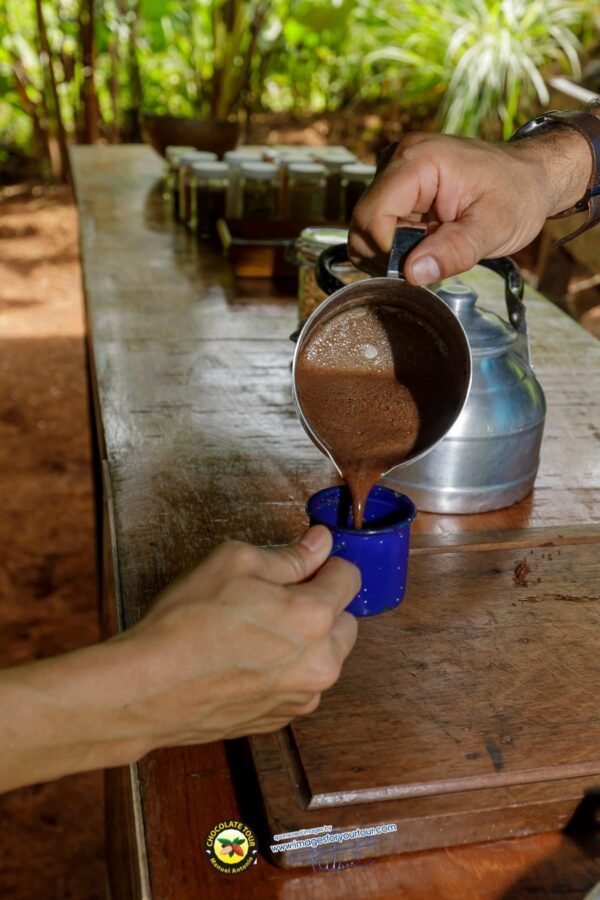 Chocolate, Coffee & Sugarcane Tour - Image 8