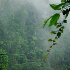 Safari Adventure Canopy Tour – La Selvita Private Reserve