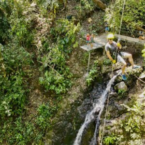 Sukia Park Canopy & Wildlife Experience