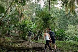 Punta Quepos Nature Trails: Wildlife, Hiking & Ocean Views Experience